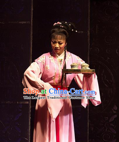 Chinese Shaoxing Opera Young Female Pink Dress Apparels Yue Opera Wu Nv Bai Shou Costumes Hua Tan Actress Garment and Hair Accessories