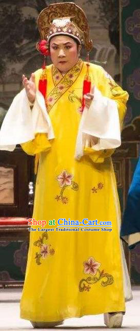 Chinese Yue Opera Bully Wang Laohu Costumes and Hat A Bride For A Ride Shaoxing Opera Clothing Xiaosheng Young Male Apparels Garment