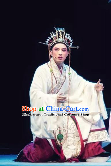 Changle Palace Chinese Yue Opera Young Male Apparels Costumes and Headwear Shaoxing Opera Xiaosheng Song Hong Garment Official Robe