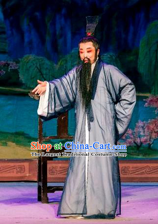 Chinese Yue Opera Lao Sheng Costumes and Headwear Hu Die Meng Butterfly Dream Shaoxing Opera Elderly Man Apparels Garment Zhuang Zhou Clothing