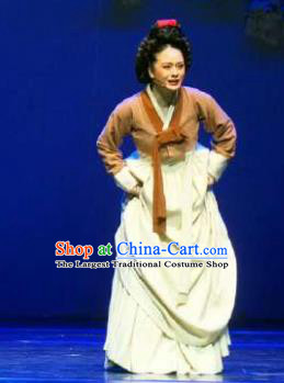 Chinese Shaoxing Opera Elderly Female Garment Apparels and Headdress Chunh Yang Yue Opera Garment Geisha Yue Mei Dress Costumes