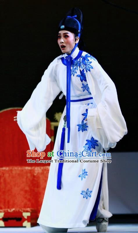 Liu Yong Chinese Yue Opera Young Male Role Xiao Sheng Garment and Hat Shaoxing Opera Scholar Poet Apparels Costumes