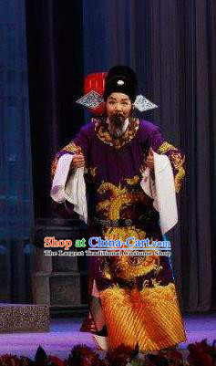 Chinese Yue Opera Official Zhou Ji Embroidered Robe Costumes and Hat Xun An Zhan Fu Shaoxing Opera Laosheng Garment Elderly Male Apparels
