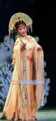 Chinese Shaoxing Opera Fisher Maiden Dress Costumes and Hat The Princess Messenger Farewell at Lakeside Yue Opera Hua Tan San Niang Apparels Garment