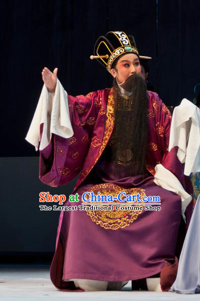 Chinese Yue Opera Elderly Male Purple Garment and Headwear Shaoxing Opera Lao Sheng Costumes Apparels Official Landlord Clothing