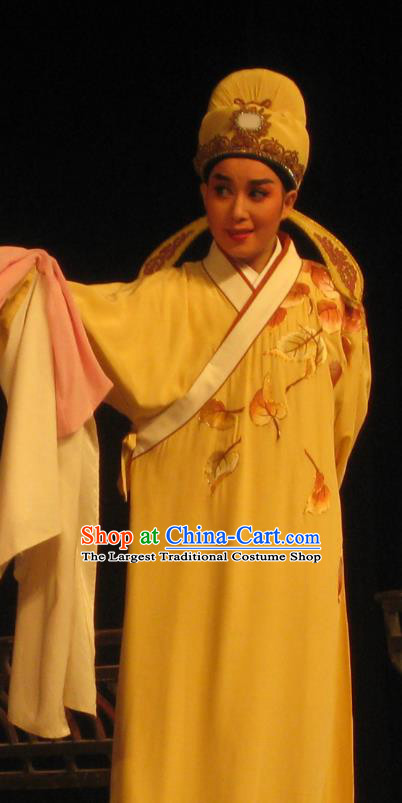 Chinese Yue Opera Young Scholar Pan Bizheng Robe Costumes and Headwear Dao Guan Qin Yuan Shaoxing Opera Xiaosheng Garment Apparels