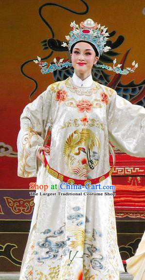 Chinese Yue Opera Number One Scholar Li Mei Yue Clothing and Hat Shaoxing Opera Xiaosheng Apparels Garment Young Male Costumes