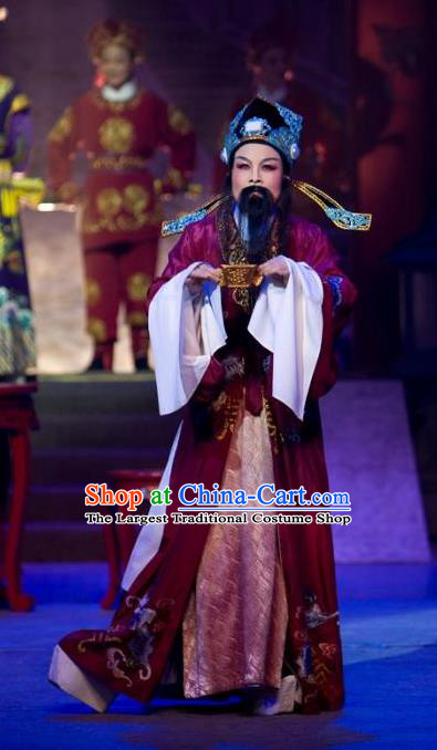 The Number One Scholar Is Not Love Chinese Yue Opera Official Clothing Costumes and Headwear Shaoxing Opera Laosheng Apparels Elderly Male Tang Bailing Garment