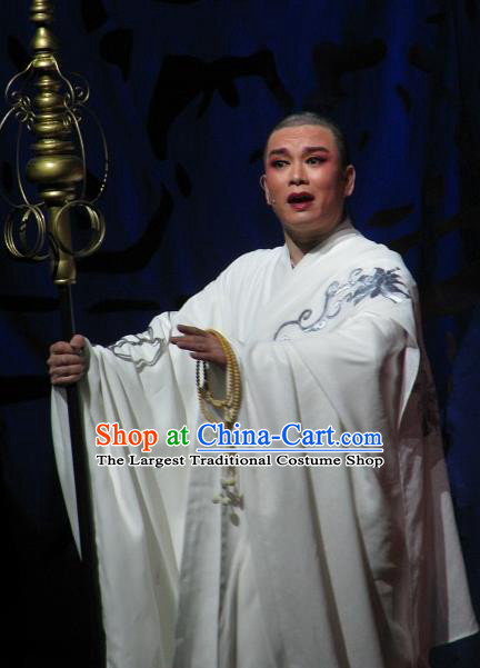 Chinese Yue Opera Young Man Garment Butterfly Love Monk Costumes Shaoxing Opera Xiaosheng Zhen Ru Apparels