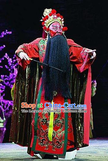 Ru Ji Chinese Peking Opera Lord Xinling Garment Costumes and Headwear Beijing Opera Laosheng Apparels King Clothing