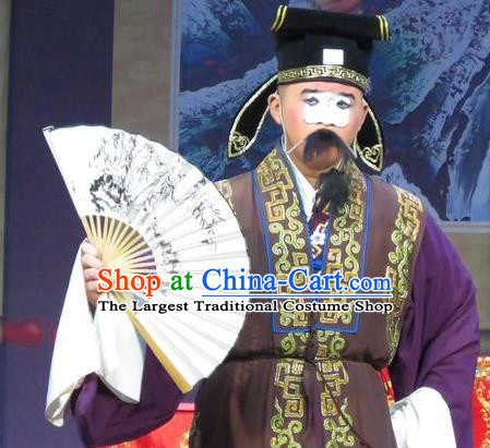 Tao Li Mei Chinese Ping Opera Laosheng Costumes and Headwear Pingju Opera Landlord Yuan Ruhai Apparels Clothing