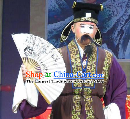 Tao Li Mei Chinese Ping Opera Laosheng Costumes and Headwear Pingju Opera Landlord Yuan Ruhai Apparels Clothing