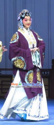 Chinese Ping Opera Elderly Female Apparels Costumes and Headdress Traditional Pingju Opera Tao Li Mei Old Dame Dress Garment