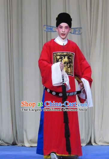 Tao Li Mei Chinese Ping Opera Number One Scholar Yan Wenmin Costumes and Hat Pingju Opera Xiaosheng Apparels Clothing