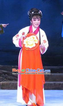 Chinese Ping Opera Country Woman Apparels Costumes and Headpieces Traditional Pingju Opera Pear Blossom Love Seamstress Li Hua Dress Garment