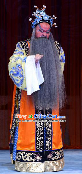 Palm Civet for Prince Chinese Ping Opera Emperor Zhenzong Costumes and Headwear Pingju Opera Elderly Male Apparels Clothing