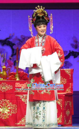 Chinese Ping Opera Actress Zhang Shangzhu Apparels Costumes and Headpieces Tell on Sargam Traditional Pingju Opera Diva Red Dress Garment