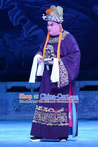Palm Civet for Prince Chinese Ping Opera Court Servant Costumes and Headwear Pingju Opera Court Eunuch Guo Huai Apparels Clothing