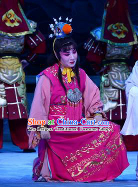 Palm Civet for Prince Chinese Ping Opera Wa Wa Sheng Costumes and Headwear Pingju Opera Crown Prince Apparels Clothing