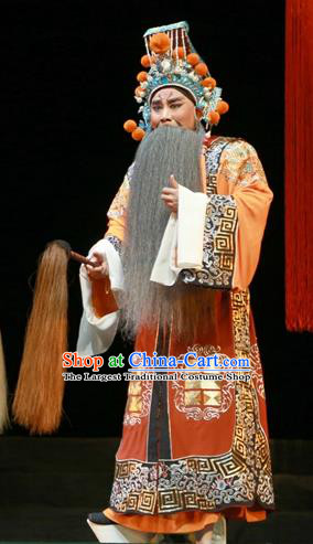 Chinese Ping Opera Laosheng Apparels Palm Civet for Prince Costumes and Headwear Pingju Opera Elderly Male Clothing