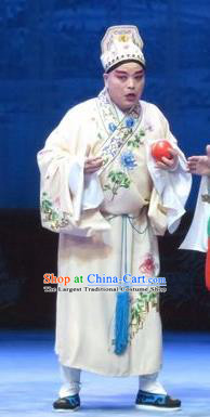 Tell on Sargam Chinese Ping Opera Young Man Garment Costumes and Headwear Pingju Opera Foolish Male Dai Da Apparels Clothing