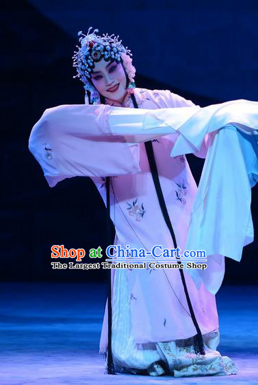 Chinese Beijing Opera Huadan Apparels Costumes and Headdress On A Wall and Horse Traditional Peking Opera Actress Li Qianjun Dress Hua Tan Garment