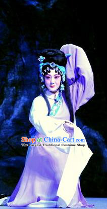 Chinese Beijing Opera Tian Dao Xing Apparels Costumes and Headdress Traditional Peking Opera Actress Dress Country Woman Garment