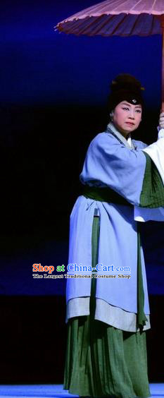 Chinese Beijing Opera Laodan Tian Dao Xing Apparels Costumes and Headdress Traditional Peking Opera Dame Dress Elderly Female Garment