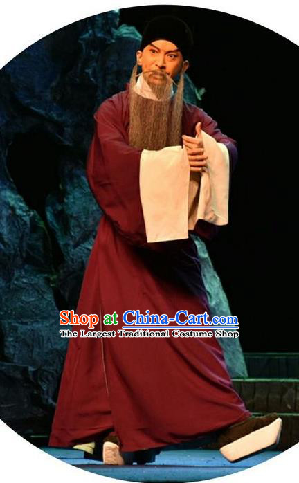 Qing Tian Dao Chinese Peking Opera Hai Rui Garment Costumes and Headwear Beijing Opera Loyal Official Apparels Elderly Male Clothing