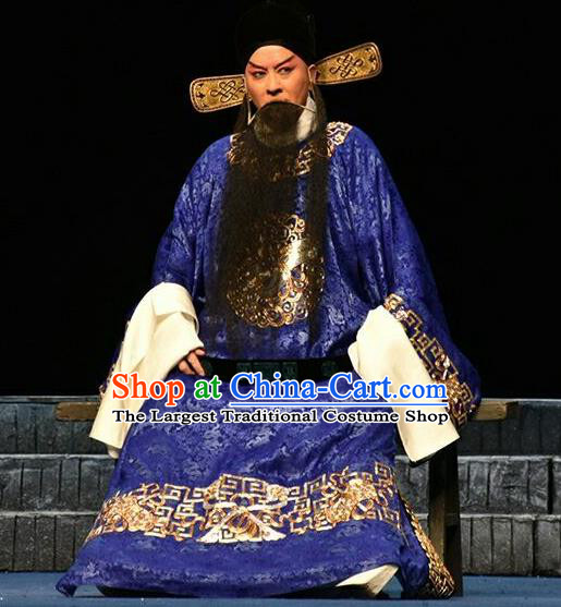 Qing Tian Dao Chinese Peking Opera Loyal Official Hai Rui Garment Costumes and Headwear Beijing Opera Elderly Male Minister Apparels Clothing