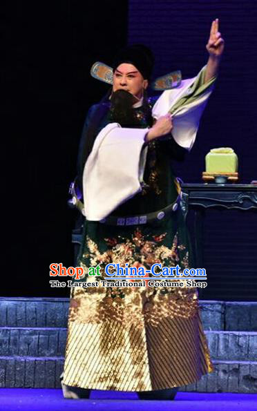 Qing Tian Dao Chinese Peking Opera Garment Costumes and Headwear Beijing Opera Elderly Male Apparels Loyal Official Hai Rui Clothing