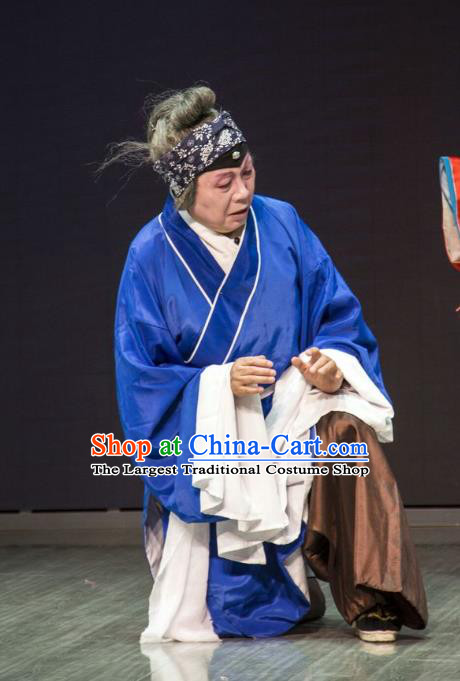 Chinese Beijing Opera Dame Sun Shulin Apparels Ba Zhen Tang Costumes and Headpieces Traditional Peking Opera Laodan Dress Elderly Female Garment