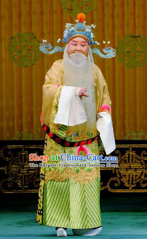 Ba Zhen Tang Chinese Peking Opera Laosheng Garment Costumes and Headwear Beijing Opera Jing Role Apparels Official Zhang Wenda Clothing