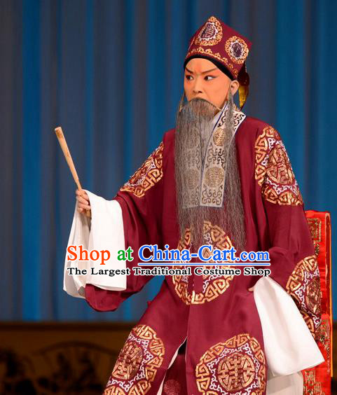 Zhu Sha Zhi Chinese Peking Opera Old Man Garment Costumes and Headwear Beijing Opera Laosheng Apparels Prefecture Han Tingfeng Clothing