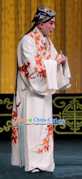 Hongniang Chinese Peking Opera Xiaosheng Garment Scholar Zhang Gong Costumes and Headwear Beijing Opera Young Male Apparels Clothing