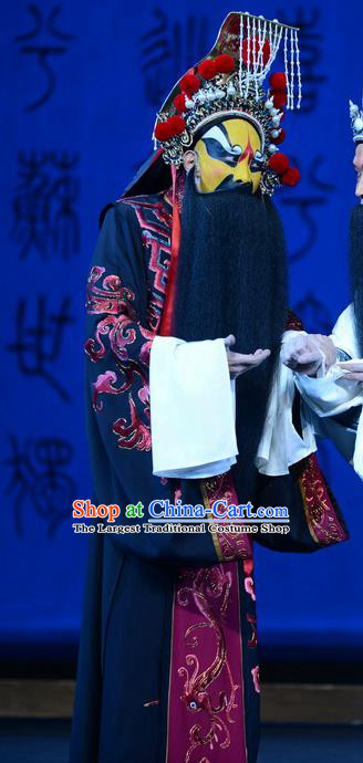Qu Yuan Chinese Peking Opera Chu King Garment Costumes and Headwear Beijing Opera Elderly Male Apparels Lord Clothing