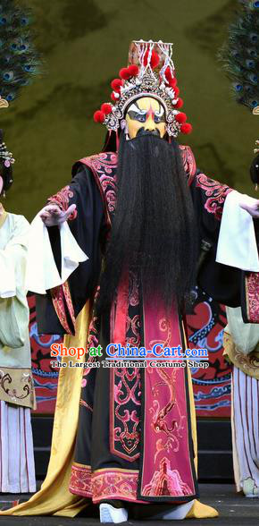 Qu Yuan Chinese Peking Opera Chu King Garment Costumes and Headwear Beijing Opera Elderly Male Apparels Lord Clothing