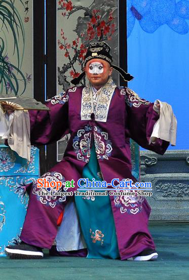 Su Xiaomei Chinese Peking Opera Clown Garment Costumes and Headwear Beijing Opera Young Man Apparels Clothing