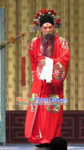 Qin Xianglian Chinese Ping Opera Official Chen Shimei Garment Costumes and Headwear Pingju Opera Elderly Male Apparels Clothing