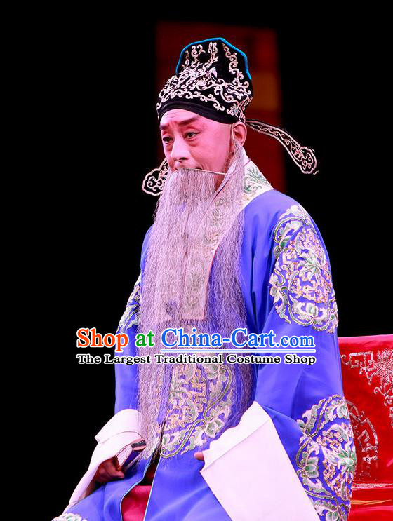 Shi Wen Hui Chinese Peking Opera Landlord Shen Zhong Garment Costumes and Headwear Beijing Opera Laosheng Apparels Clothing