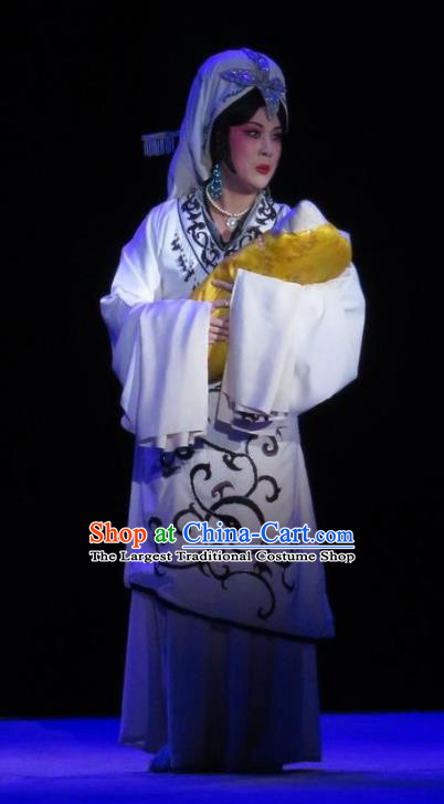 Chinese Ping Opera Distress Woman Apparels Costumes and Headdress Traditional Pingju Opera Saving Orphan Princess White Dress Garment