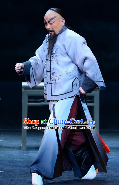 Imperial Envoy Chinese Peking Opera Laosheng Lin Zexu Garment Costumes and Headwear Beijing Opera Elderly Male Apparels Qing Dynasty Clothing