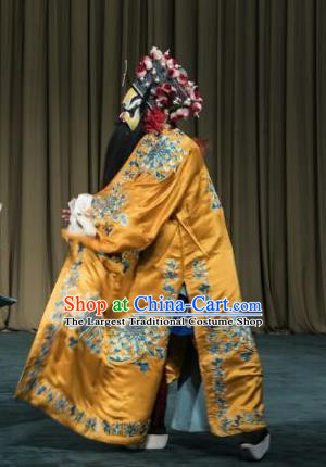 San Dao Ling Chinese Peking Opera Elderly Male Garment Costumes and Headwear Beijing Opera Takefu Apparels Swordsman Yang Xiu Clothing