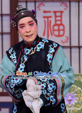 Chinese Beijing Opera Old Woman Apparels Liu Lanzhi Costumes and Headpieces Traditional Peking Opera Pantaloon Dress Dame Garment