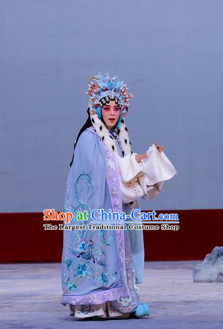 Chinese Beijing Opera Hua Tan Apparels Return to the Han Dynasty Costumes and Headpieces Traditional Peking Opera Diva Dress Imperial Concubine Cai Wenji Garment