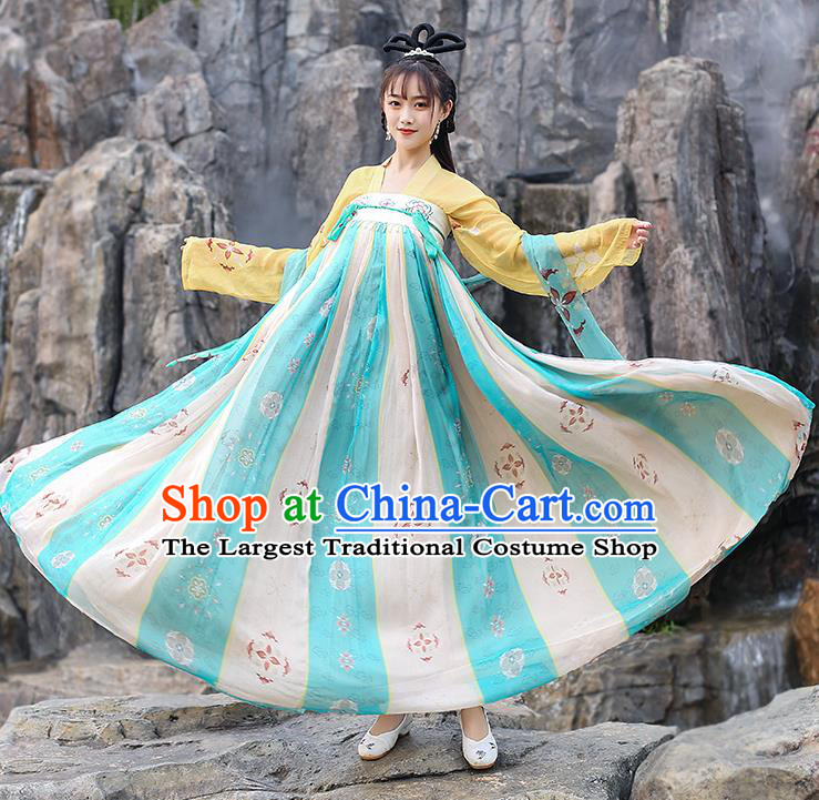 Chinese Traditional Tang Dynasty Noble Female Hanfu Dress Ancient Apparels Patrician Lady Historical Costumes for Women