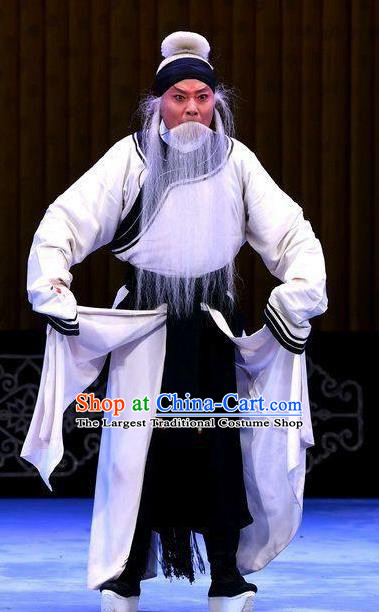 Bai Di Cheng Chinese Peking Opera Laosheng Liu Bei Garment Costumes and Headwear Beijing Opera Elderly Male Apparels Clothing