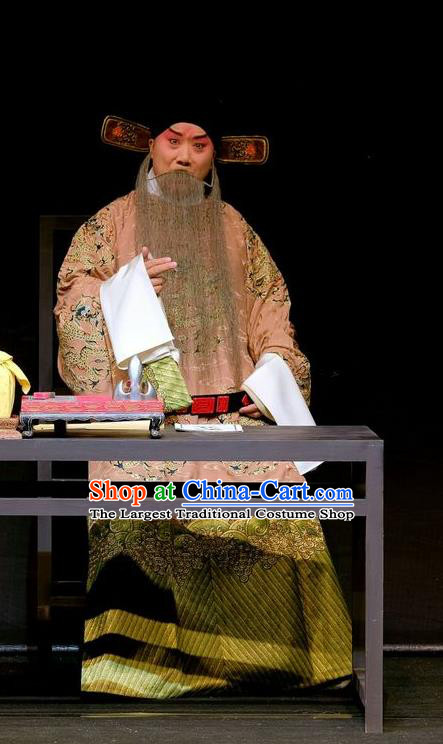 Shen Tou Ci Tang Chinese Peking Opera Official Lu Bing Garment Costumes and Headwear Beijing Opera Laosheng Apparels Elderly Male Clothing