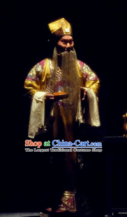 Shen Tou Ci Tang Chinese Peking Opera Elderly Male Garment Costumes and Headwear Beijing Opera Laosheng Apparels Official Lu Bing Clothing