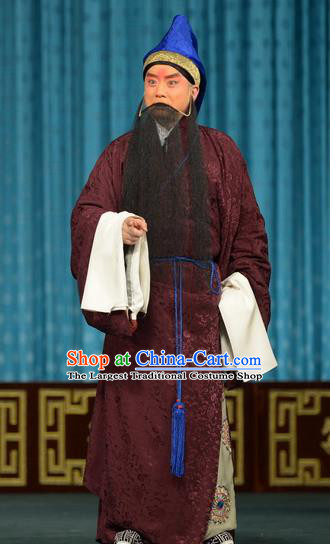 Chun Qiu Bi Chinese Peking Opera Laosheng Garment Costumes and Headwear Beijing Opera Apparels Elderly Male Wang Shaozhi Clothing